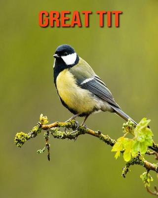 Book cover for Great Tit