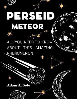 Book cover for Perseid Meteor