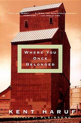 Book cover for Where You Once Belonged