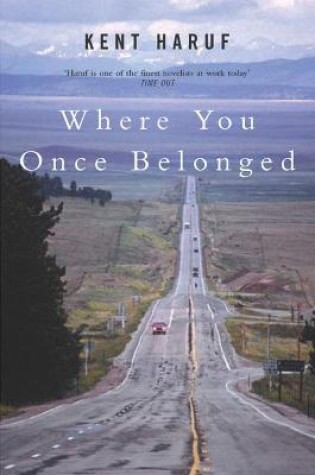 Cover of Where You Once Belonged