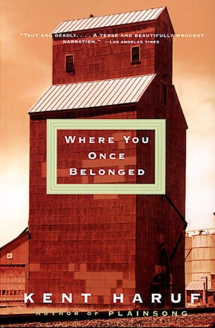 Book cover for Where You Once Belonged