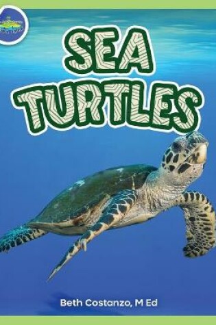 Cover of Sea Turtles Activity Workbook ages 4-8