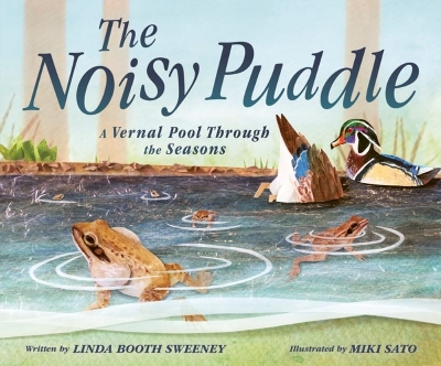 Book cover for Noisy Puddle: A Vernal Pool through the Seasons