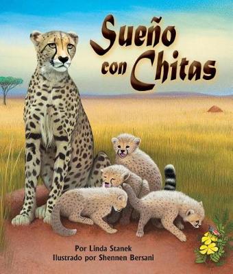 Book cover for Sueño Con Chitas (Cheetah Dreams)