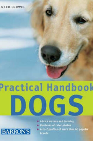 Cover of Practical Handbook