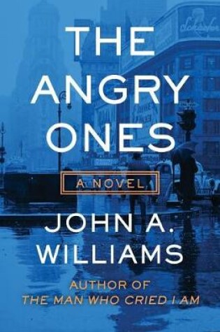 Cover of The Angry Ones