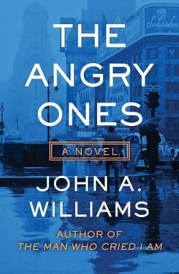 Book cover for The Angry Ones