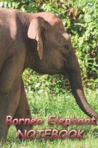 Cover of Borneo Elephant NOTEBOOK