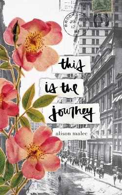 Book cover for This Is the Journey