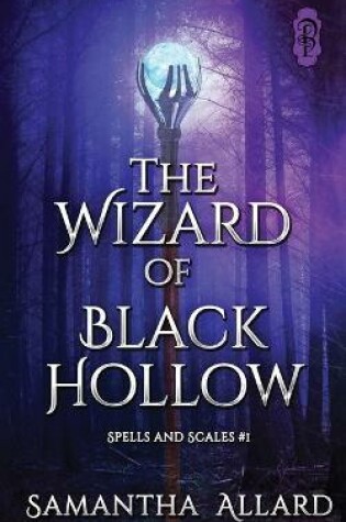 Cover of The Wizard of Black Hollow