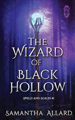 Book cover for The Wizard of Black Hollow