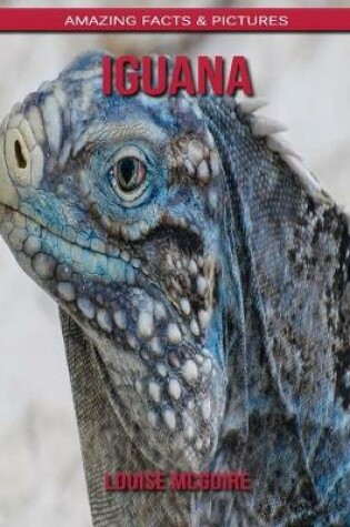 Cover of Iguana