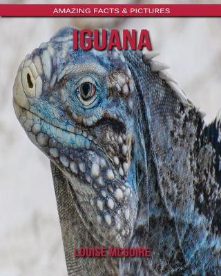 Book cover for Iguana