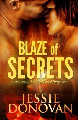 Book cover for Blaze of Secrets