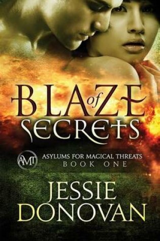 Cover of Blaze of Secrets