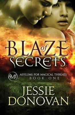 Book cover for Blaze of Secrets