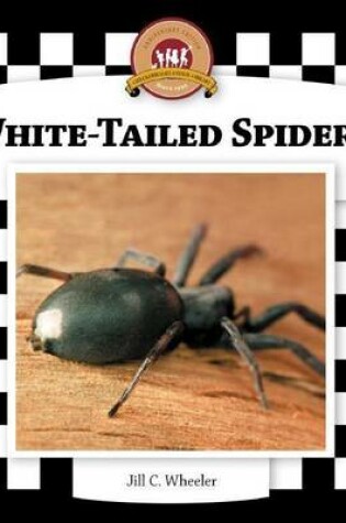 Cover of White-Tailed Spiders