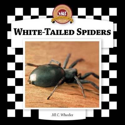 Cover of White-Tailed Spiders