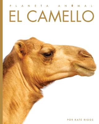 Book cover for El Camello