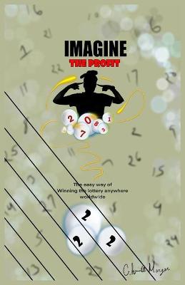 Book cover for Imagine The Profit