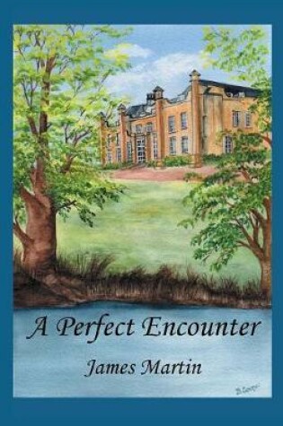 Cover of A Perfect Encounter