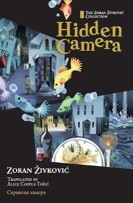 Book cover for Hidden Camera