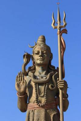 Book cover for Statue of Shiva and a Clear Blue Sky, for the Love of India