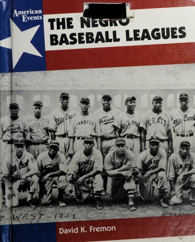 Book cover for The Negro Baseball Leagues