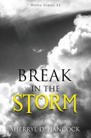 Cover of Break in the Storm