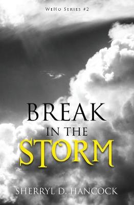 Book cover for Break in the Storm