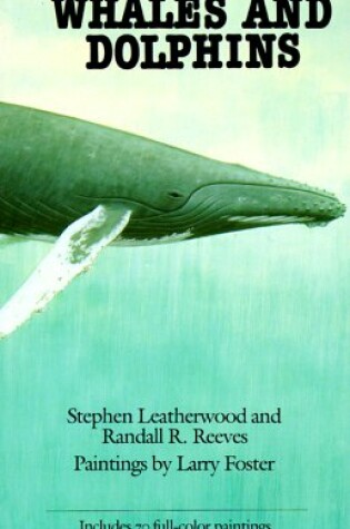 Cover of The Sierra Club Handbook of Whales and Dolphins