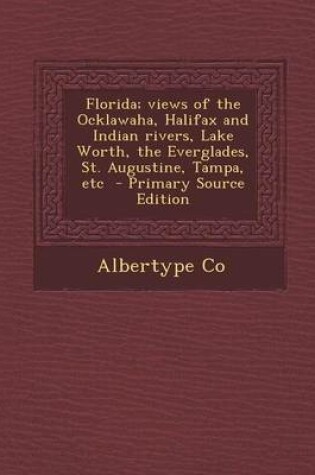 Cover of Florida; Views of the Ocklawaha, Halifax and Indian Rivers, Lake Worth, the Everglades, St. Augustine, Tampa, Etc - Primary Source Edition