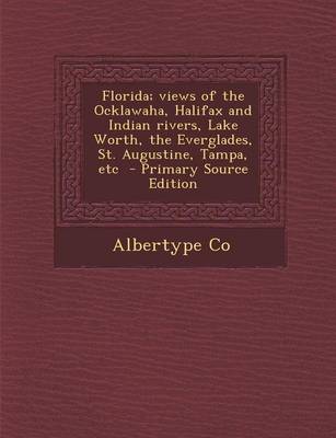 Book cover for Florida; Views of the Ocklawaha, Halifax and Indian Rivers, Lake Worth, the Everglades, St. Augustine, Tampa, Etc - Primary Source Edition