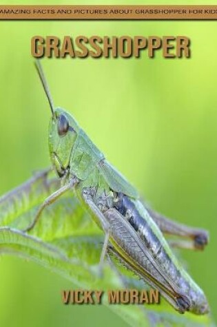 Cover of Grasshopper