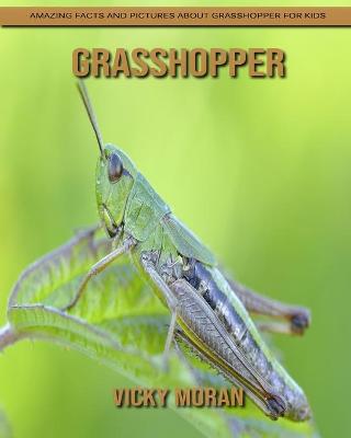 Book cover for Grasshopper