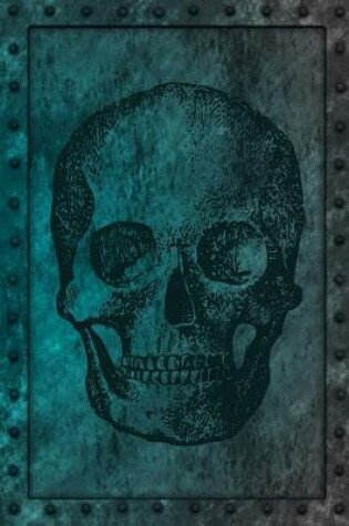 Cover of Iron Clad Skull