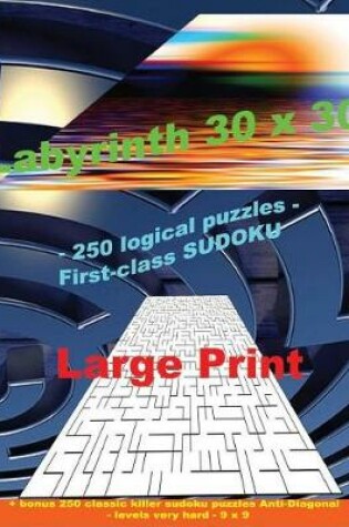 Cover of Labyrinth 30 X 30 - 250 Logical Puzzles - First-Class Sudoku