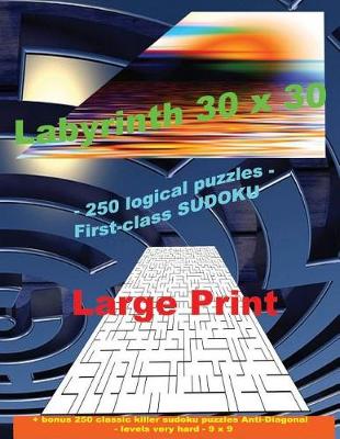 Cover of Labyrinth 30 X 30 - 250 Logical Puzzles - First-Class Sudoku