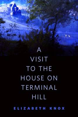 Book cover for A Visit to the House on Terminal Hill
