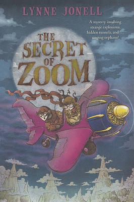 Book cover for The Secret of Zoom