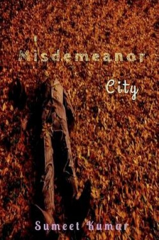Cover of Misdemeanor City