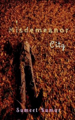 Book cover for Misdemeanor City