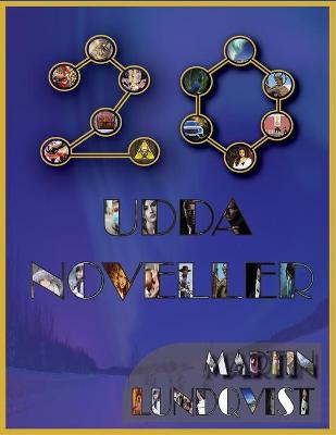 Book cover for 20 Udda Noveller