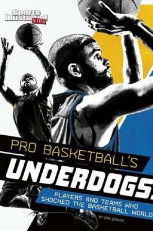 Cover of Pro Basketball's Underdogs