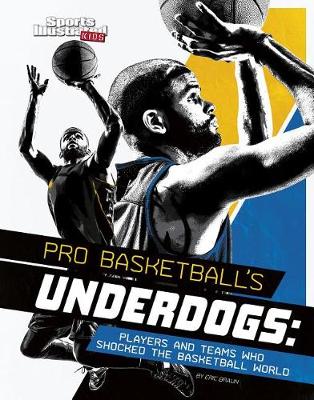 Book cover for Pro Basketball's Underdogs