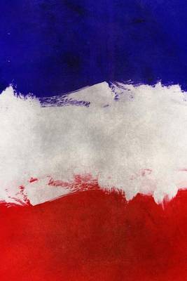 Book cover for A Painted French National Flag