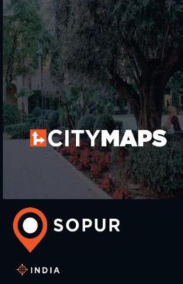 Book cover for City Maps Sopur India