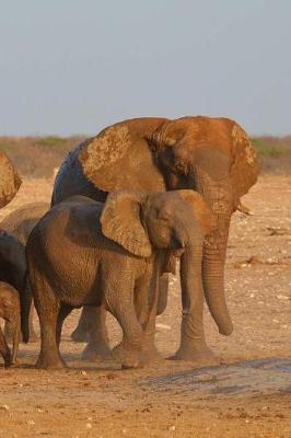 Book cover for Elephant Family Notebook