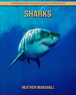 Book cover for Sharks