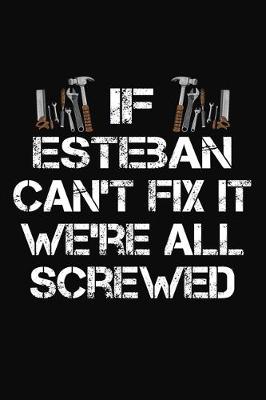 Book cover for If Esteban Can't Fix It We're All Screwed